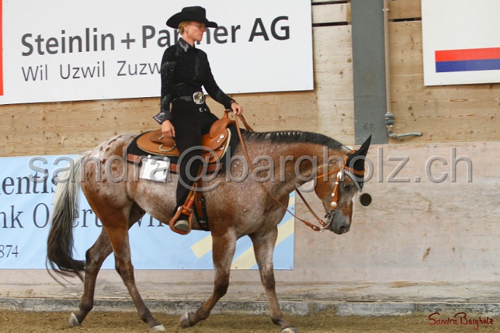 32-ApHC OWP_015.jpg